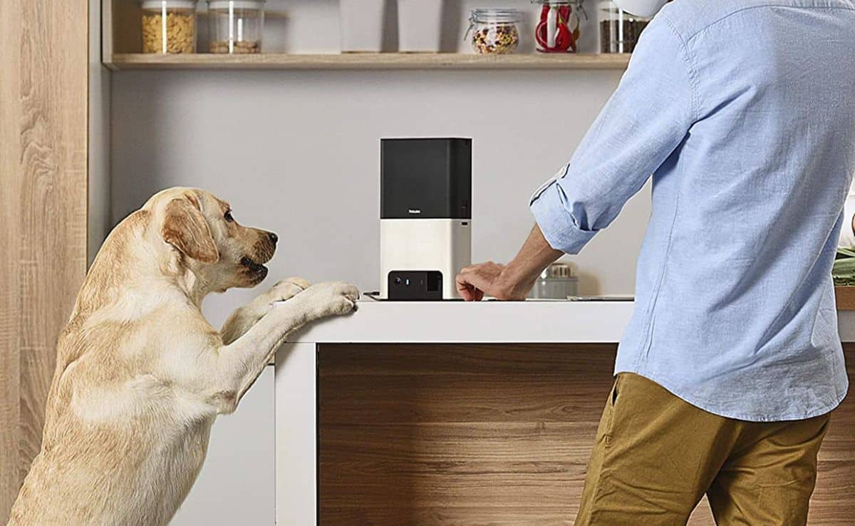 2018 Pet Monitoring Camera Market Growth Forecast 2028: Recent Trends, Developments, and Opportunities