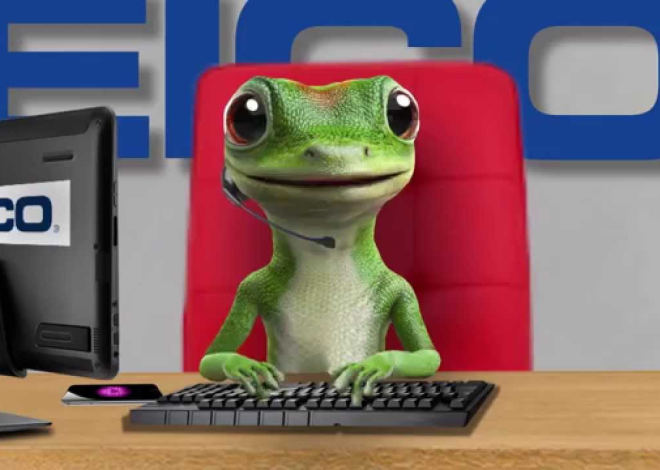 Geico Insurance: What You Need to Know