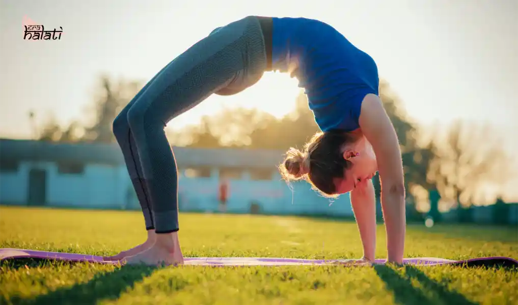 Chakrasana