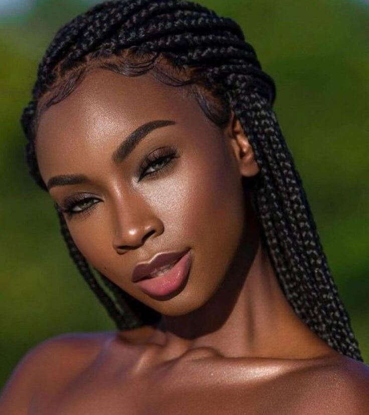 Braided Wigs for Black Women