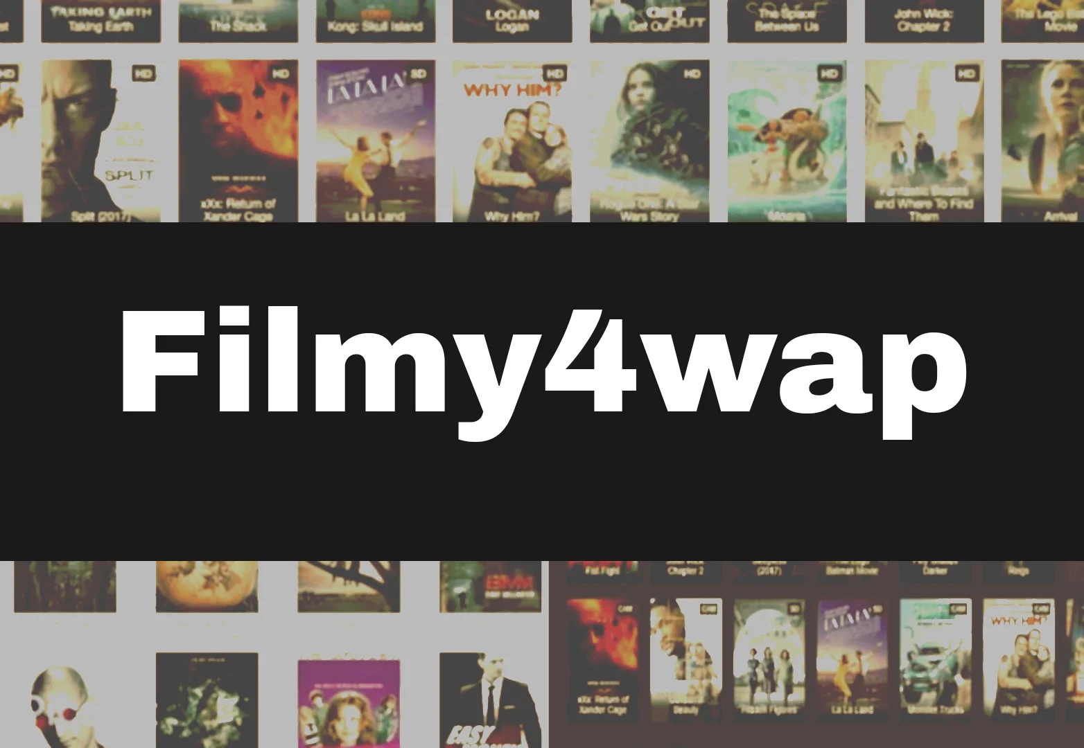 Filmy4wap App