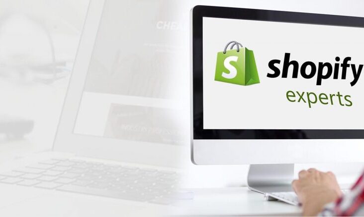 Optimize Shopify Store