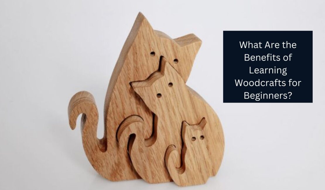 What Are the Benefits of Learning Woodcrafts for Beginners