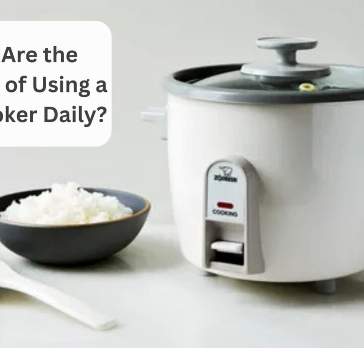 What Are the Benefits of Using a Rice Cooker Daily