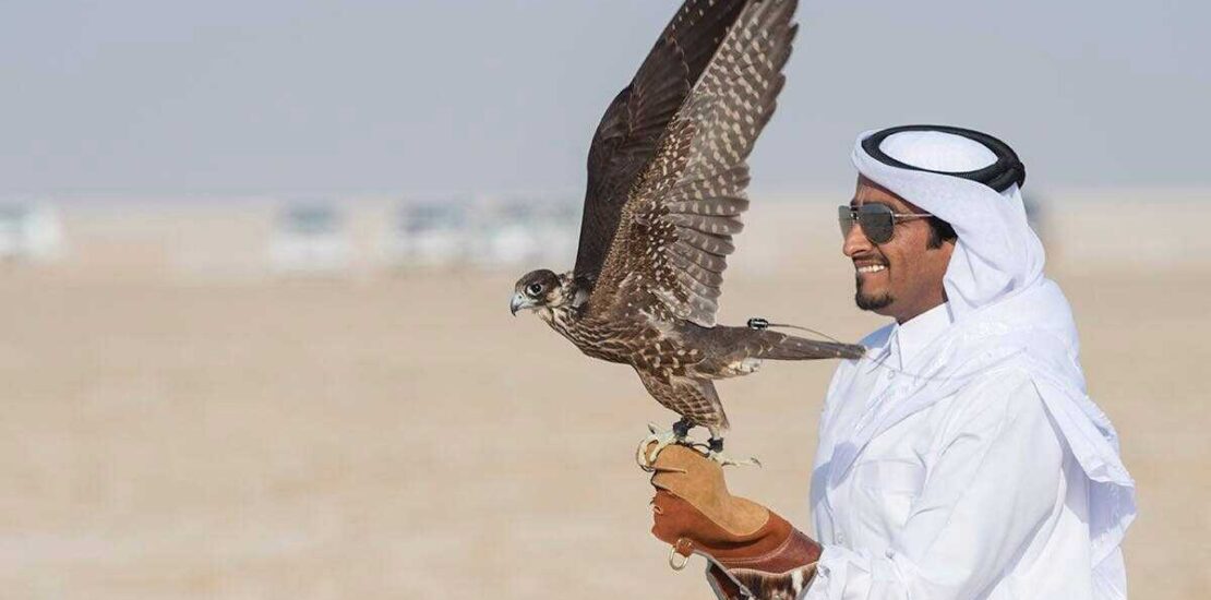 Falcon Hunting Qatar