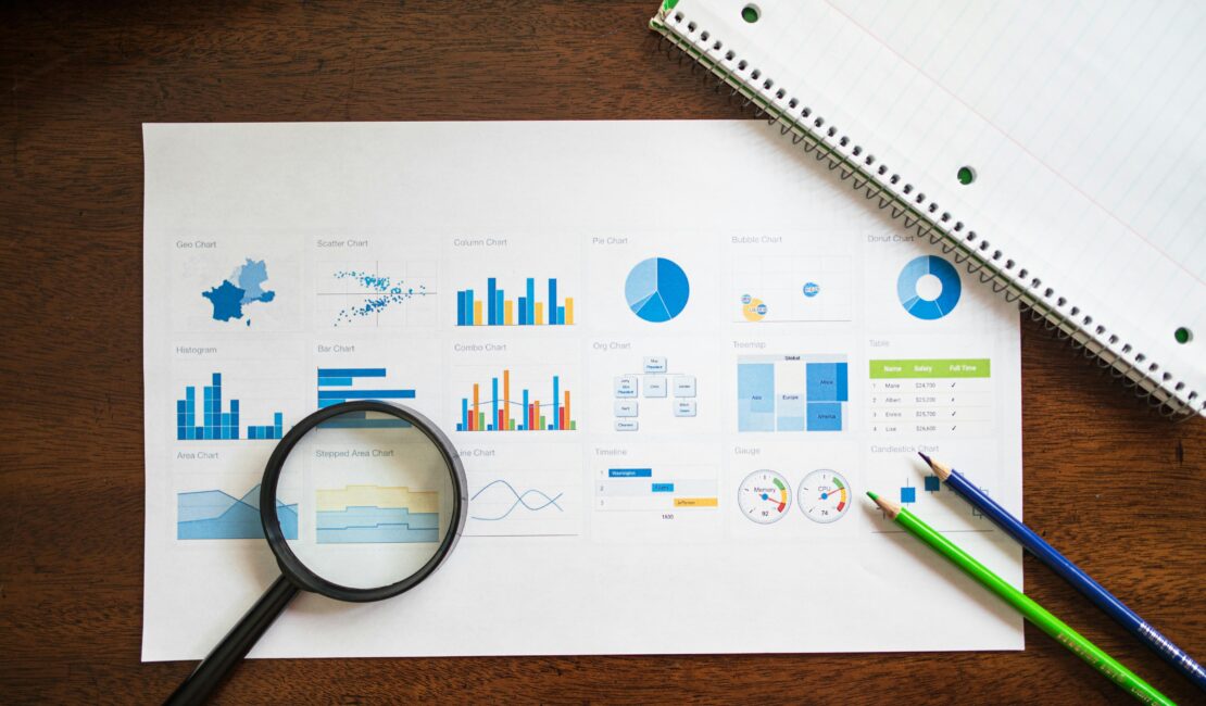 BI Consulting Company