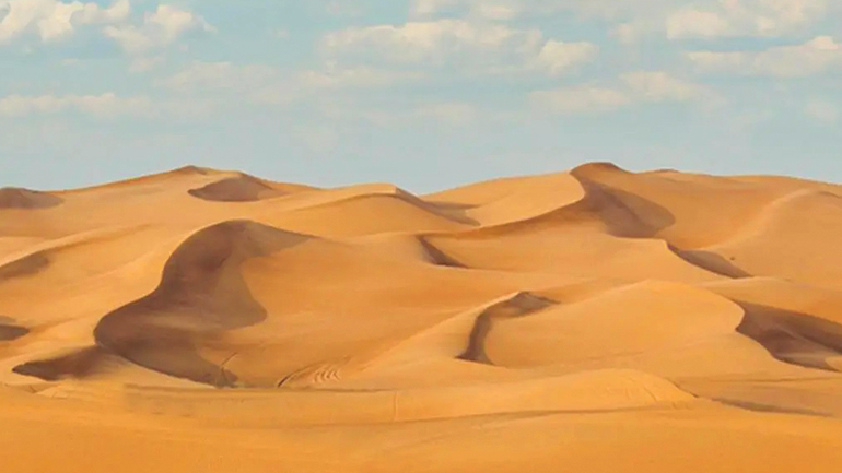 morning desert safari dubai