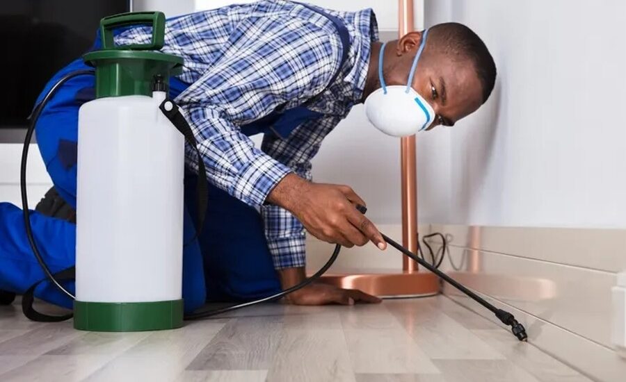 pest control service