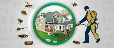 Effective Pest Control in Lahore: Comprehensive Services