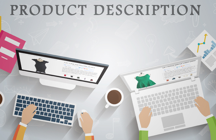 Are Product Descriptions Enough For the Sales Success?