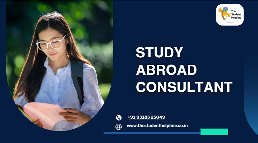 study abroad consultant
