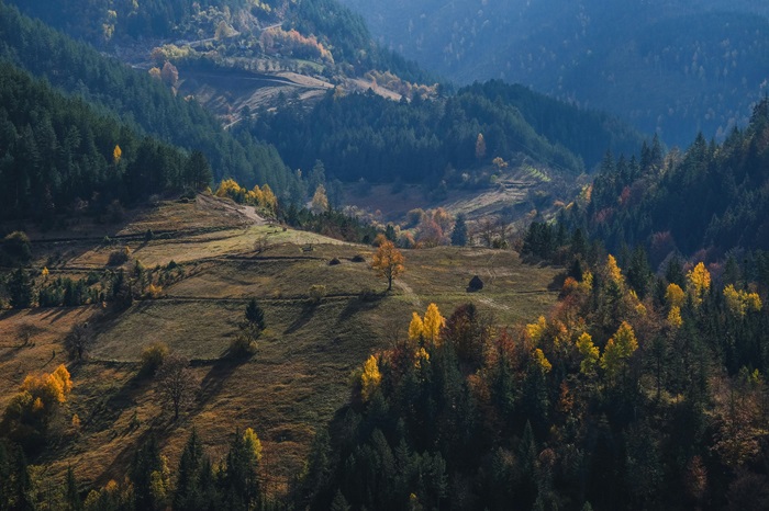 Serbia