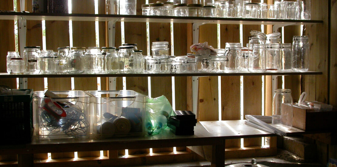Glass Display Cases