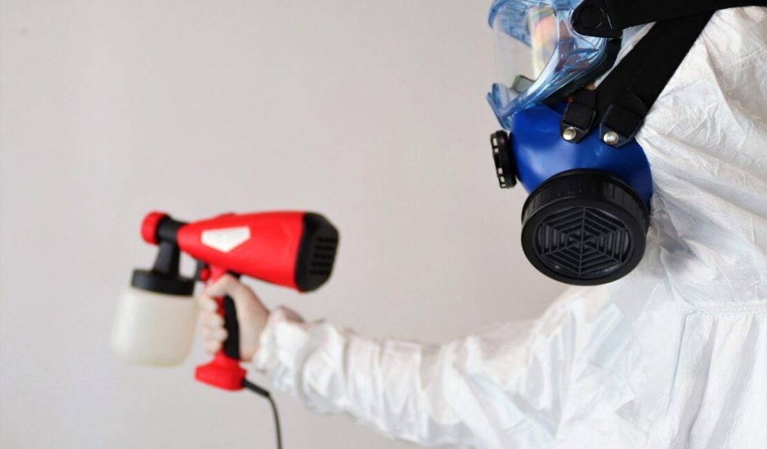 mold removal service titusville fl