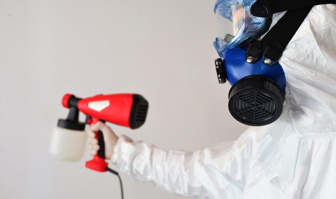 mold removal service titusville fl