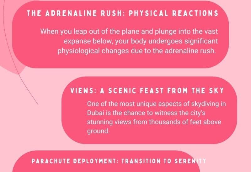 The Adrenaline Rush: What to Expect During a Skydive in Dubai