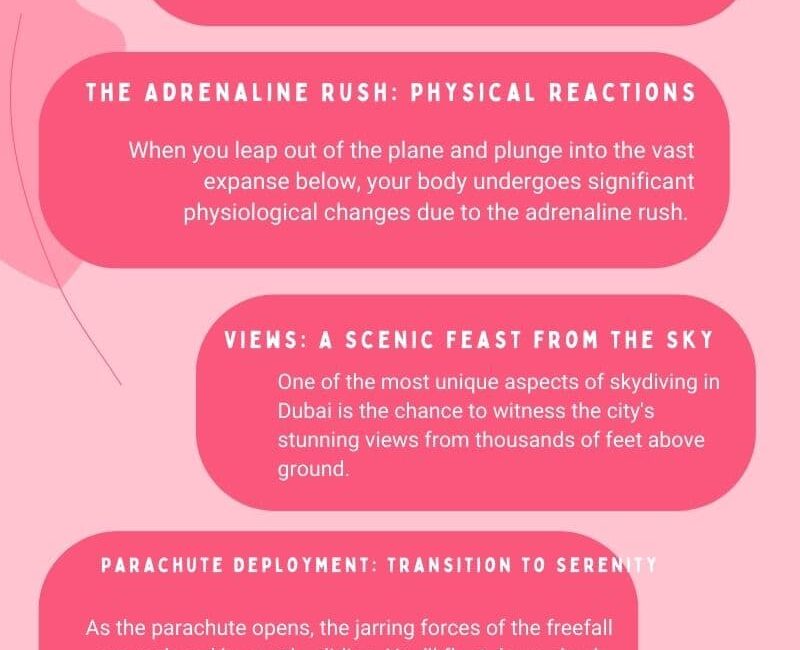 The Adrenaline Rush: What to Expect During a Skydive in Dubai