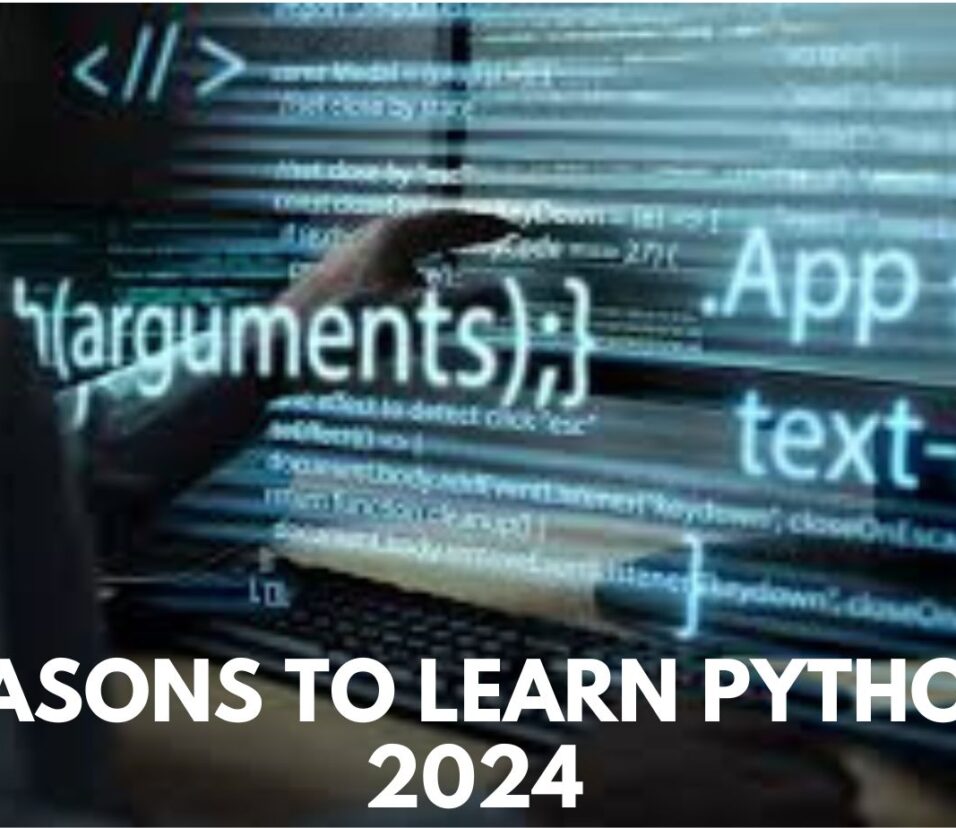 6 Reasons to Learn Python in 2024