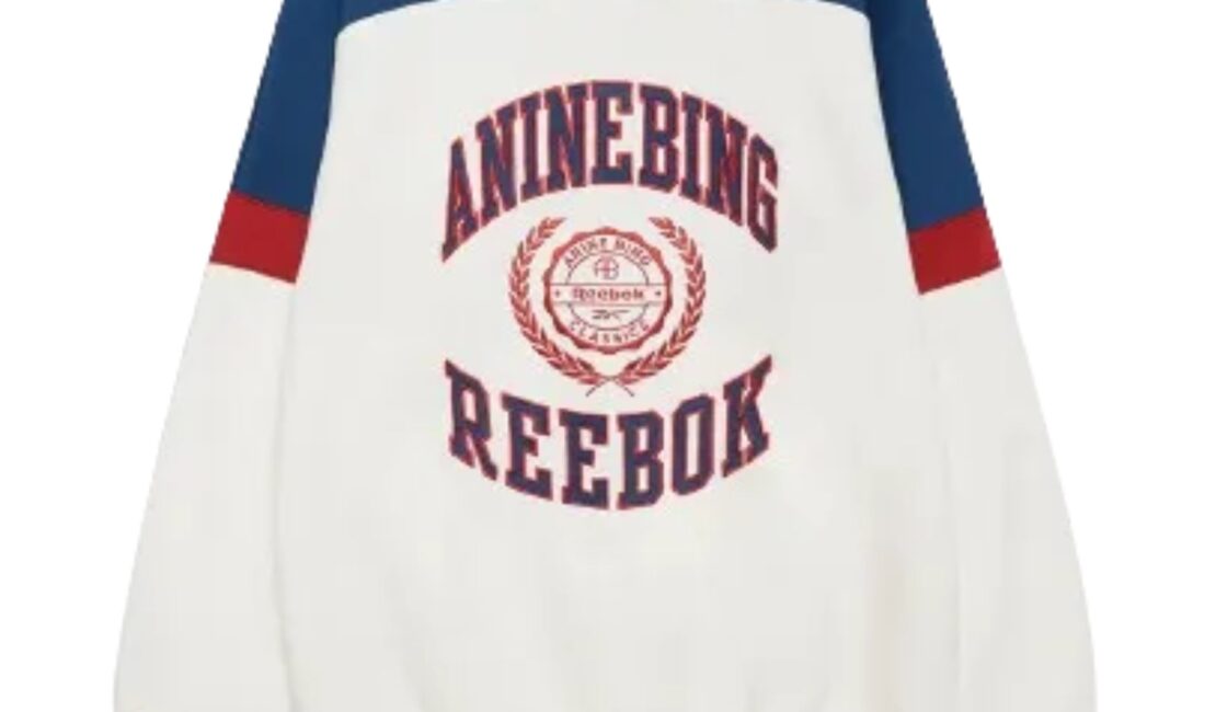 Anine Bing Reebok Sweatshirt