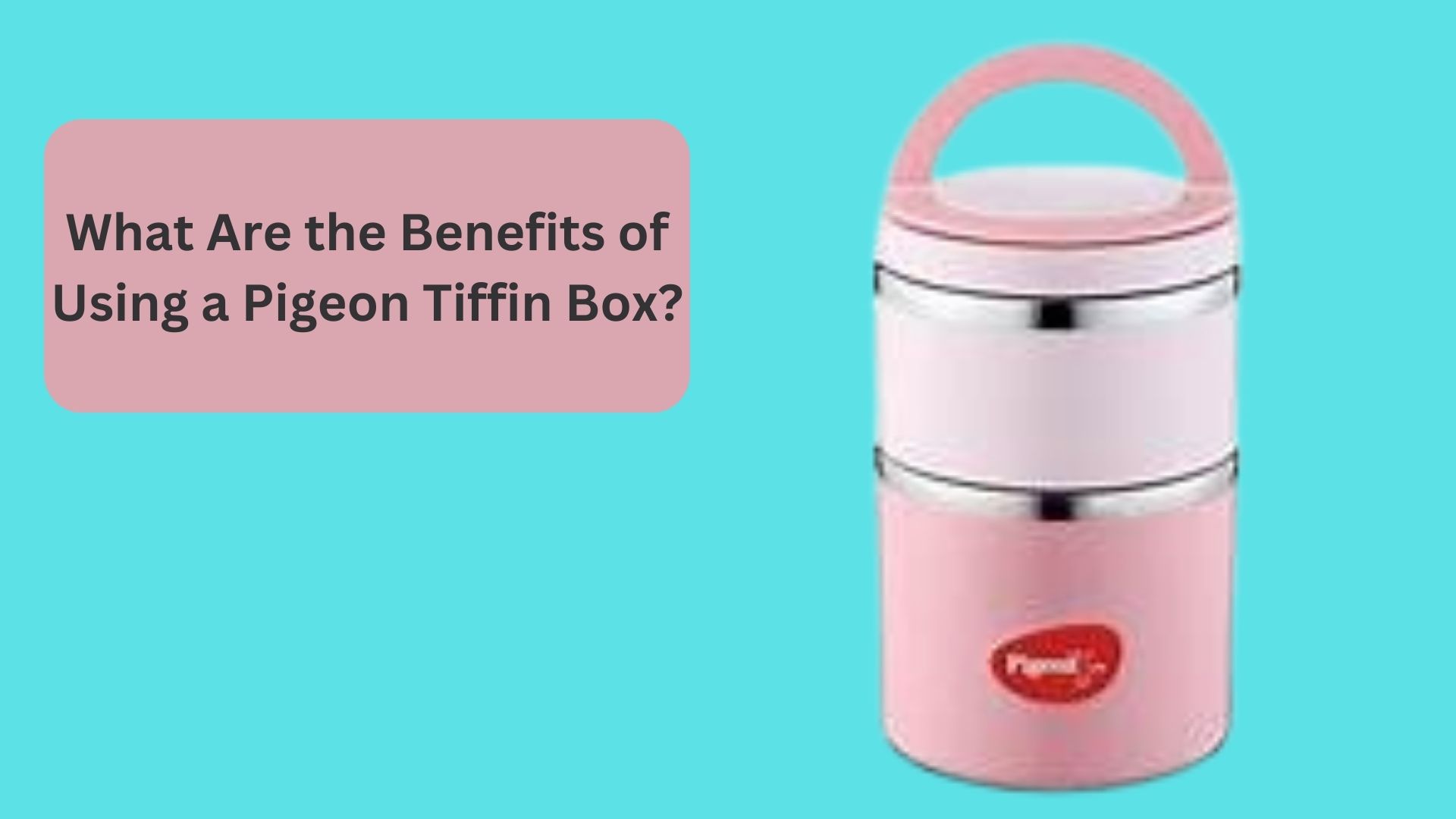 What Are the Benefits of Using a Pigeon Tiffin Box