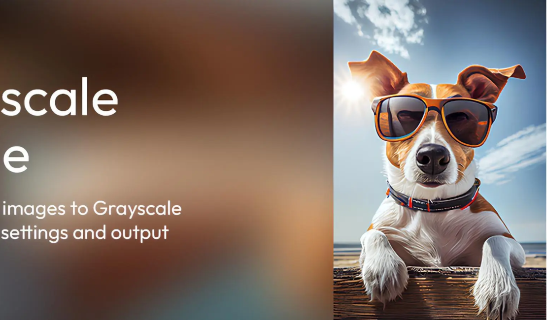free photo converter