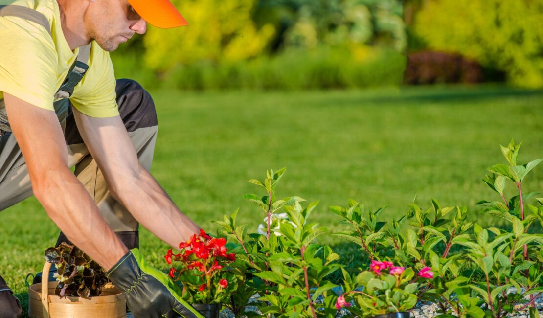 Landscaper