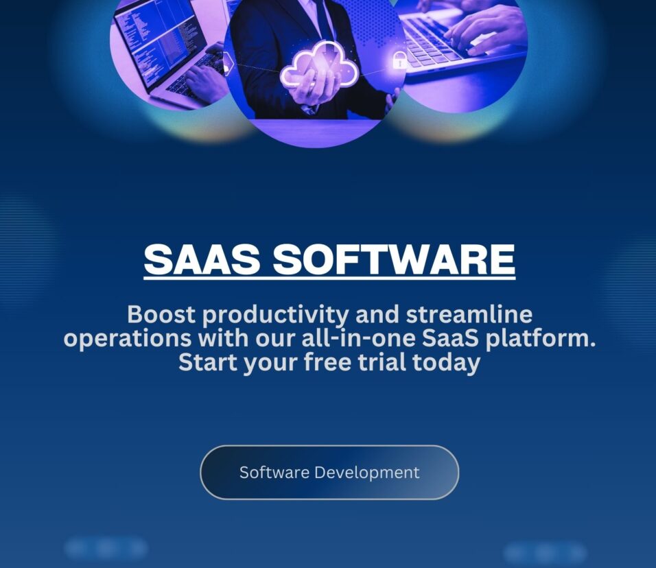 Exploring the Scope of SaaS Software within the Digital Era