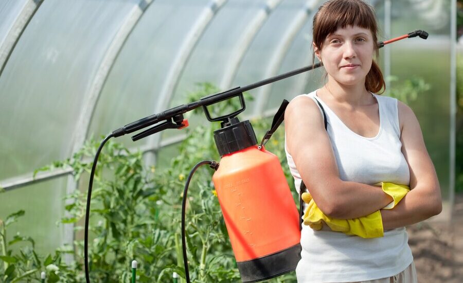 The Pros and Cons of DIY Pest Control Versus Professional Green Pest Control
