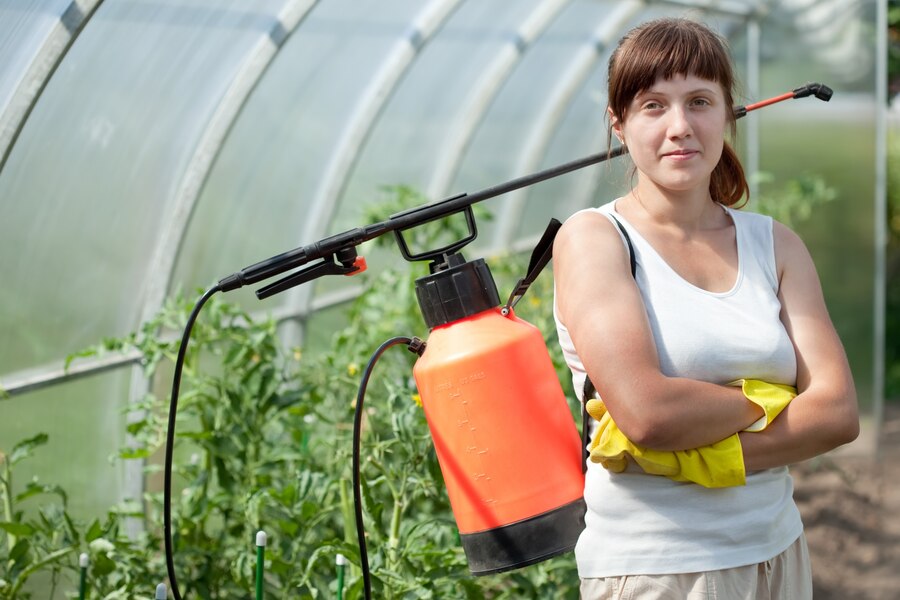 The Pros and Cons of DIY Pest Control Versus Professional Green Pest Control
