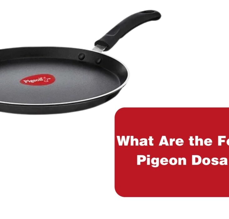 What Are the Features of Pigeon Dosa Tawa