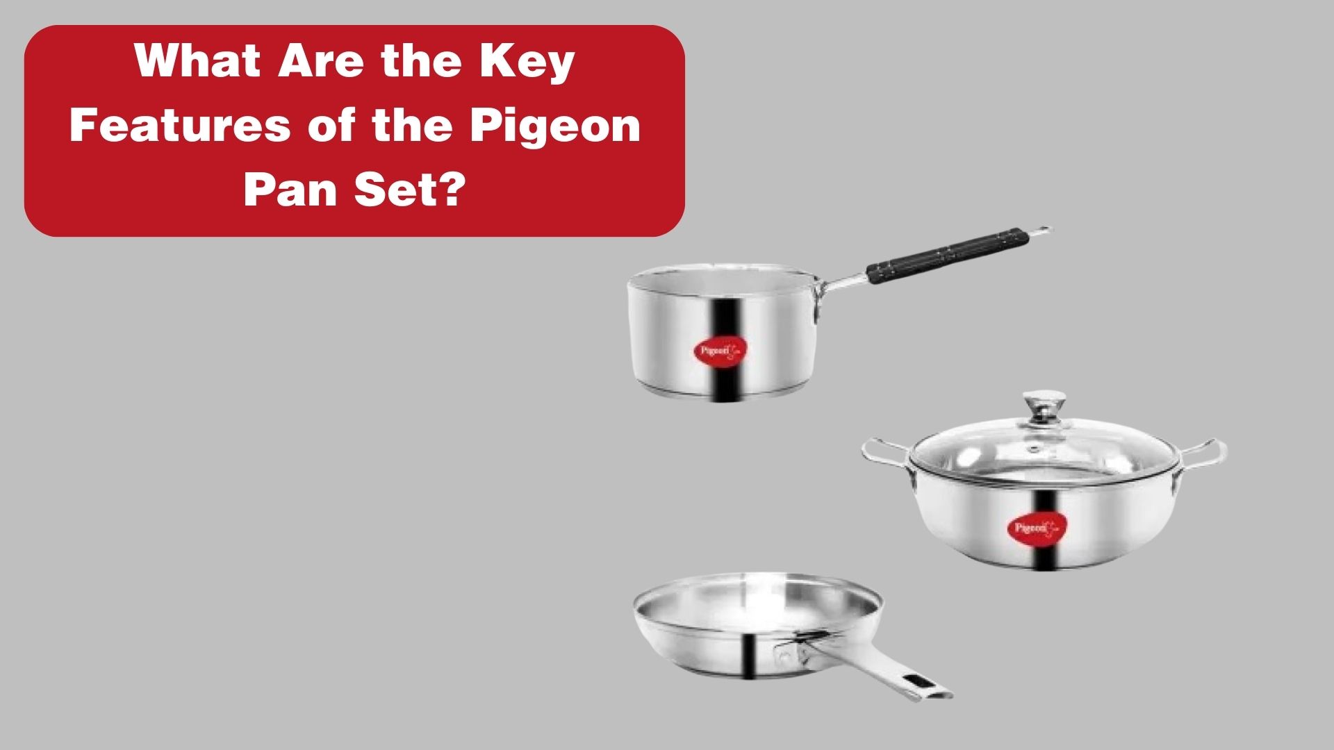 What Are the Key Features of the Pigeon Pan Set