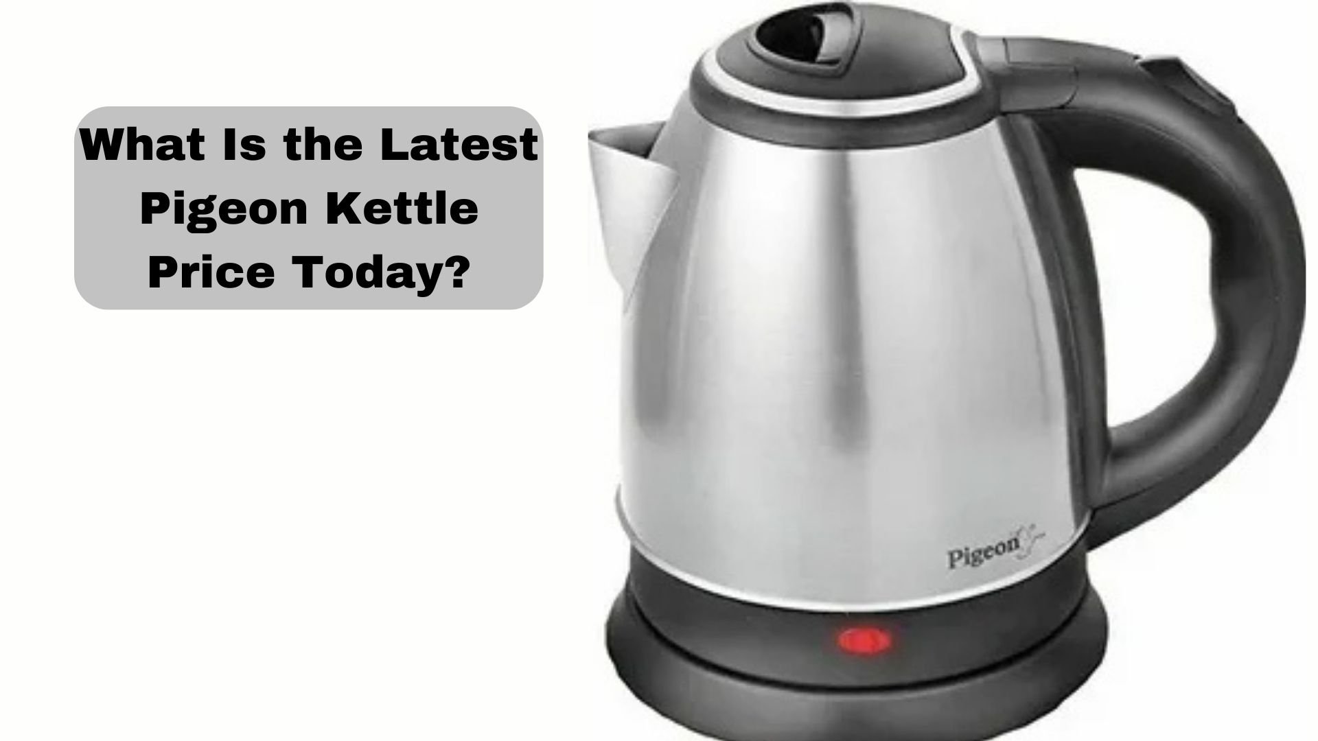What Is the Latest Pigeon Kettle Price Today
