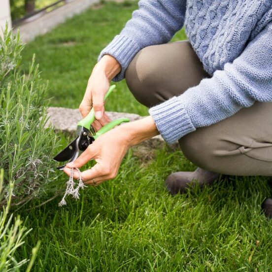 How to Maintain a Weed-Free Garden Year-Round