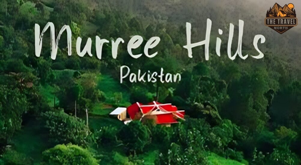 best hotels in murree