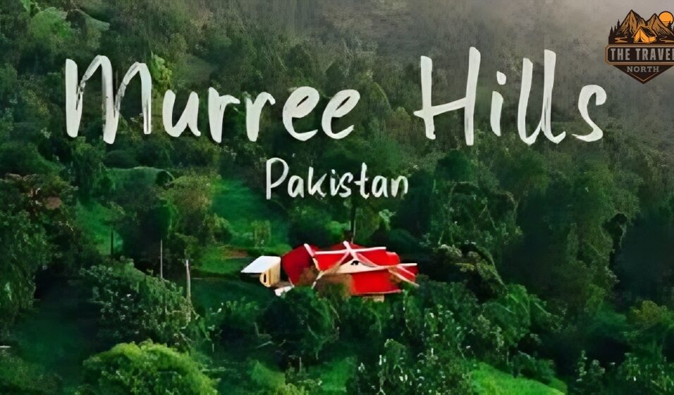 best hotels in murree