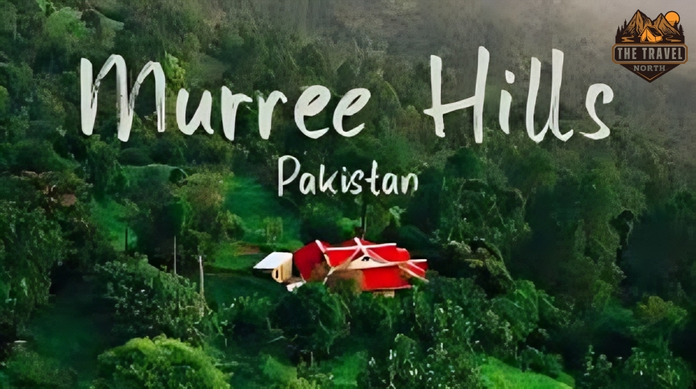 best hotels in murree