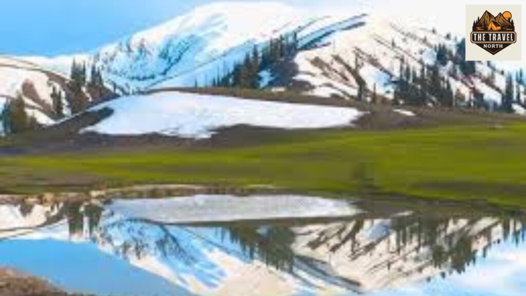 cheap hotels in shogran
