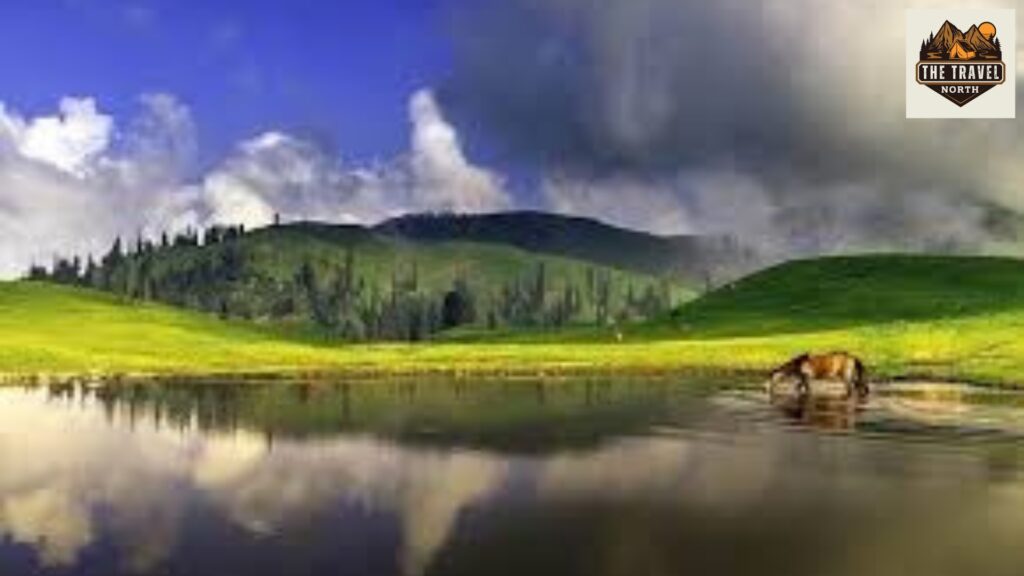 cheap hotels in shogran