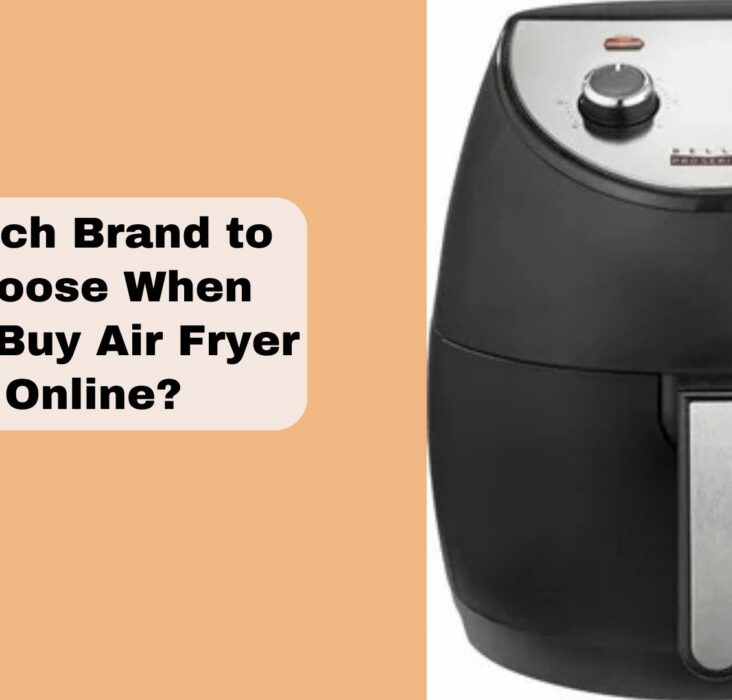 Which Brand to Choose When You Buy Air Fryer Online