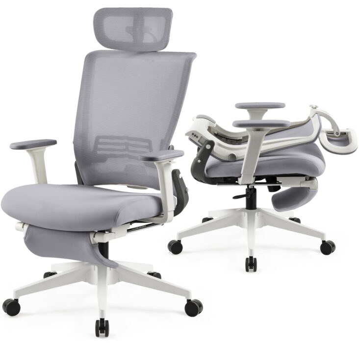 Ergonomic Office Chairs