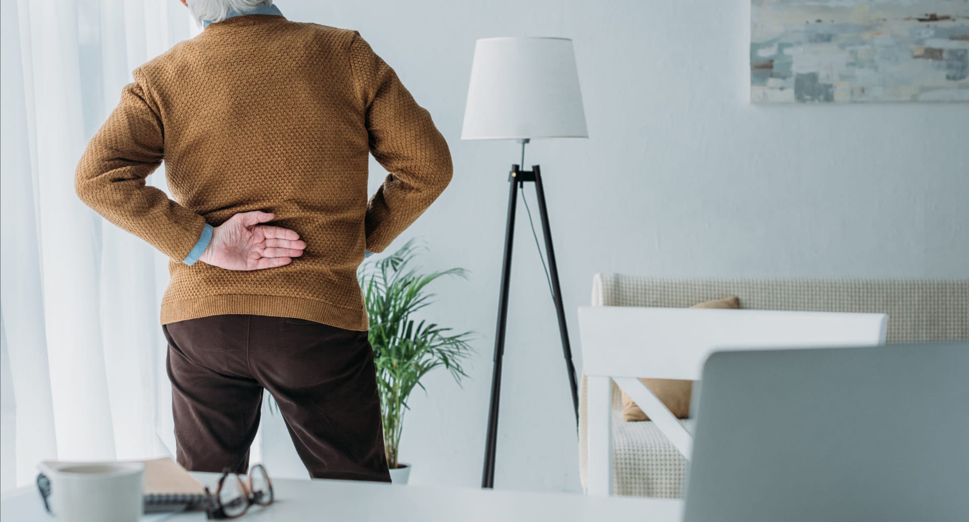 back pain doctor west orange