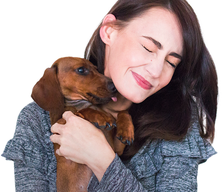 dog day care center