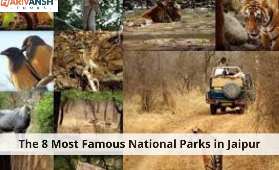 National Parks in Jaipur