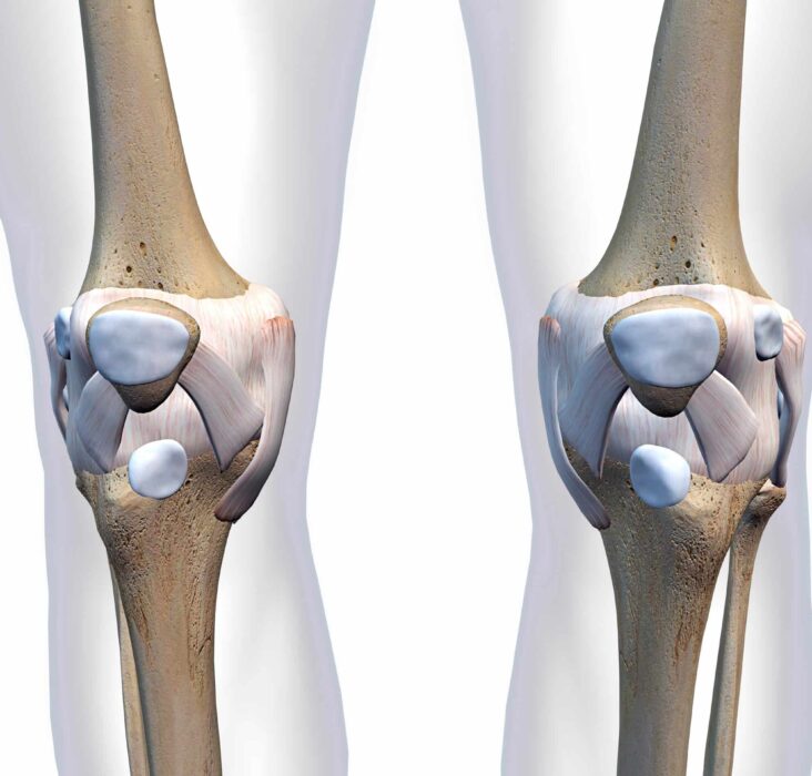 knee management specialist