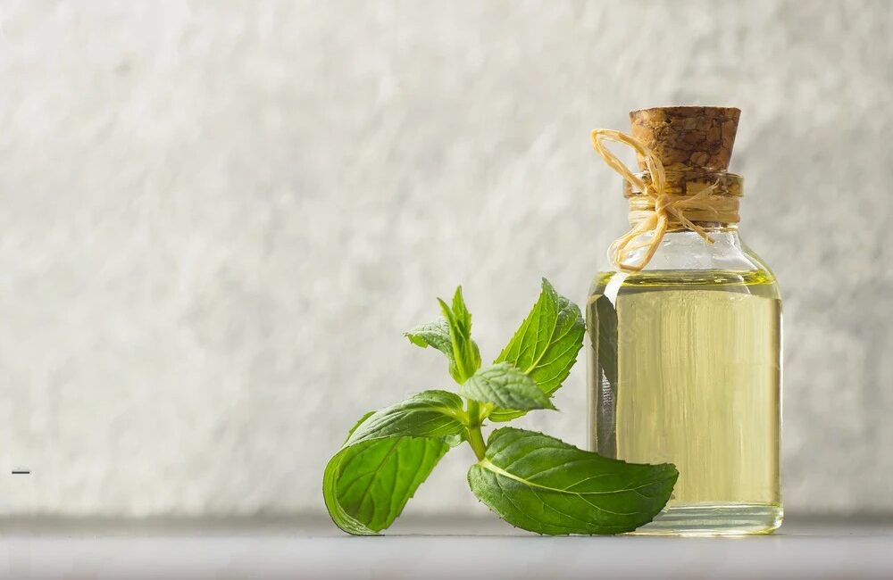 peppermint oil bulk supplier