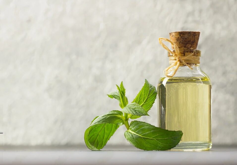 peppermint oil bulk supplier