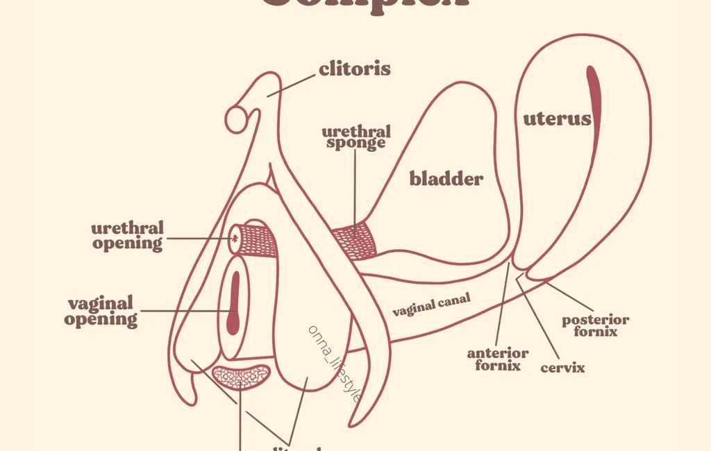 Cervix orgasms