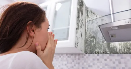Mold Testing Culver City