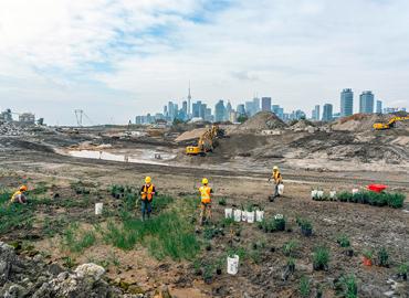 environmental clean up Toronto