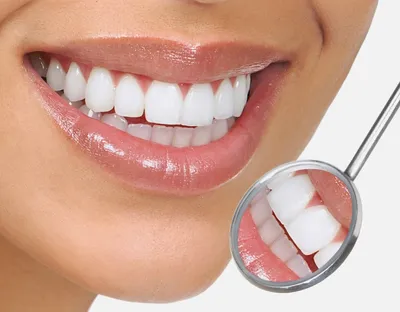 Dentist Albany
